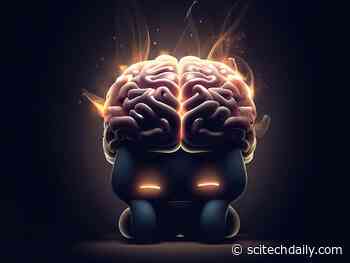 Brain Battles: How Stress Wipes Out Your Cognitive Reserve