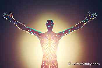 Unlocking Sweet Secrets: How Taste Perception Influences Glucose Metabolism