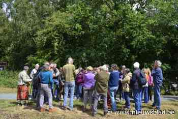 Feestelijke processie zet de Berm in de kijker met muziek en theater