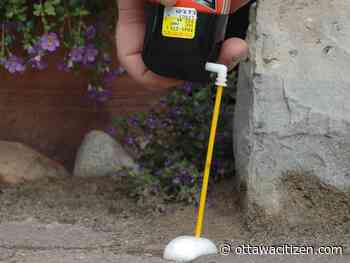 Houseworks: Painting aluminum window frames 