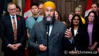 Bread, milk, apples: Federal NDP wants price cap for grocery store staples