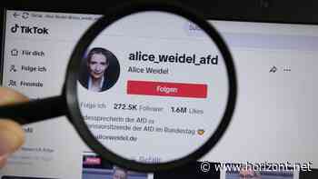 Neuer Report zu AfD &amp; Co: Bildungsstätte warnt vor Flut rechter Inhalte bei TikTok