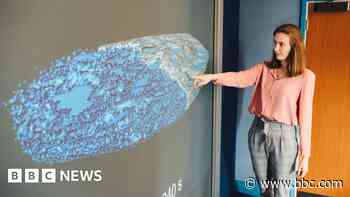 Researchers 'crack code' to perfect biscuit crunch