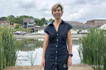 Deze gemeente voorziet voor het eerst een eigen strand in zomer: “Als de waterkwaliteit goed is, kan je er pootjebaden”