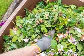 Can I fly-tip garden waste? Find out if it’s illegal