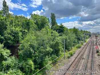Network Rail Finsbury Park to Ally Pally tree cutting plan opposed