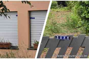 Politie ontdekt 250 cannabisplantjes in huurwoning: “Nog twee kweekruimtes in opbouw”