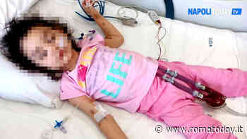 La piccola Pamela vive con un cuore artificiale. Il padre: "Vogliamo portarla al Bambin Gesù di Roma"