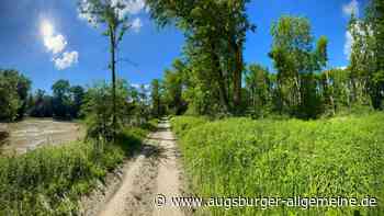 Vermisste 32-Jährige gerettet: Sie saß über 60 Stunden in einer Baumkrone