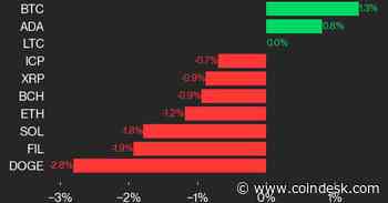Bitcoin Tops $70K to Lead CoinDesk 20 Gainers: CoinDesk Indices Market Update