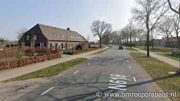 Automobilist raakt van de weg, botst tegen boom en overlijdt