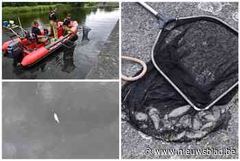 Na vissterfte op zondag moet brandweer opnieuw dode vis uit Oude Leiearm scheppen