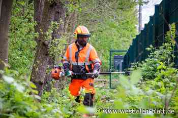 Blindgänger-Verdacht in Bünde: Sondierung für 10. Juni geplant