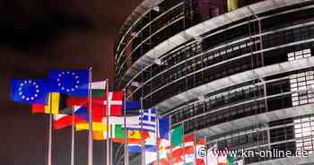 Europawahl 2024: Termine, Parteien und Infos im Überblick