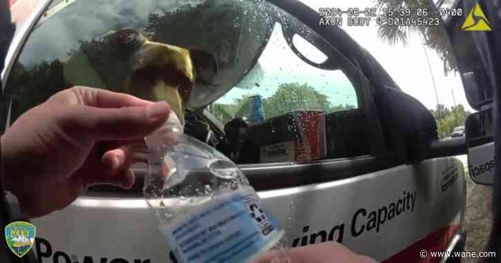 Dog left in hot U-Haul nearly an hour while owners went to Florida beach: police