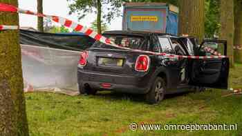 Man (39) raakt met zijn auto van de weg, botst tegen boom en overlijdt