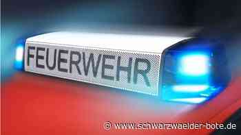 Feuerwehr-Einsatz in Kentheim: Flammen schlagen aus dem Dach einer Halle