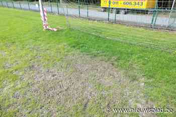 Jongeren vertrappelen pas ingezaaide grasmat van RC Hades: “We kunnen opnieuw beginnen”