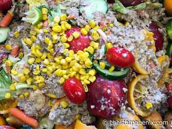 Committee backs reduced winter collection of Saskatoon green bins