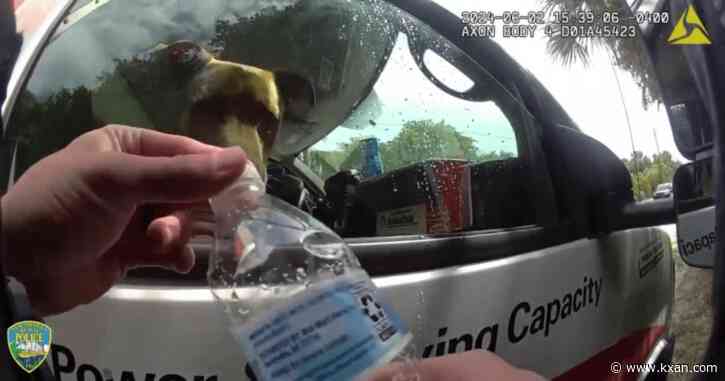 Dog left in hot U-Haul nearly an hour while owners went to Florida beach: police