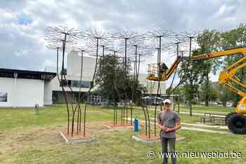 Lokale kunstenaar plaatst nieuw werk in tuin mudel