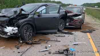 Motorist trying to avoid hitting turtle causes multi-vehicle collision: OPP