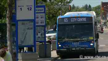 Free bus rides for Saskatoon children recommended by council committee