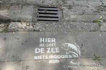 Stad Lier neemt deel aan Mooimakers campagne ‘Hier begint de zee’: “Belangrijke boodschap om te blijven verspreiden”