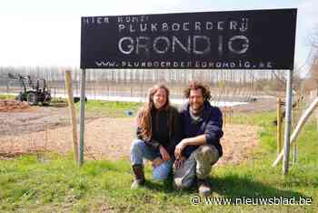 ‘Schuurstrijd’ tussen plukboerderij en gemeentebestuur gaat nieuwe fase in: “Dit voelt als een mes in de rug”