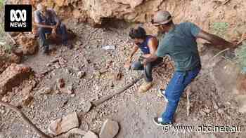 'It's heartbreaking': Traditional owners angry after stone tools moved during gas exploration