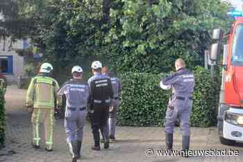 Pony breekt uit en belandt in zwembad: brandweer redt dier van verdrinking