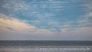 Temperatur der Nordsee auf Rekordhoch