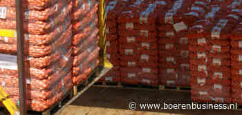 Bovengemiddelde export van uien voor deze weken