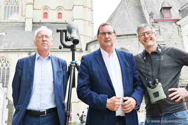 Eerst naar het stembureau en dan slechtvalken bekijken in Oudenaarde: “We verwelkomen de twee jongen Margaretha en Alexander”