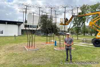 Kunstenaar Bart plaatst nieuw werk in museumtuin: “Ik haalde de inspiratie tijdens mijn kajaktochten”