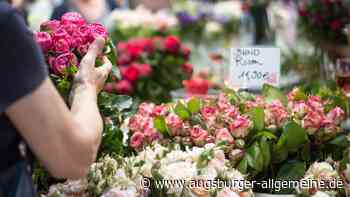 In Ulm am Samstag: Tag der Rose und Antikmarkt