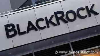 Texas Stock Exchange: Texas soll eigene Börse erhalten – Blackrock und Citadel ziehen mit