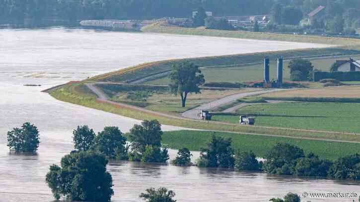 An den unteren Donaupegeln weiter hohe Wasserstände