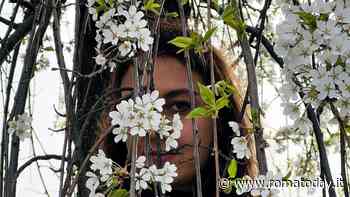 "Tornare alla vita", la mostra di Chiara Vannucchi