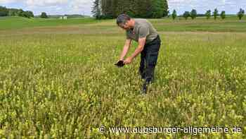 Warum sich die Bewirtschaftung von Nasswiesen lohnen kann