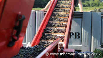 innocent names £1m regenerative agriculture fund winners