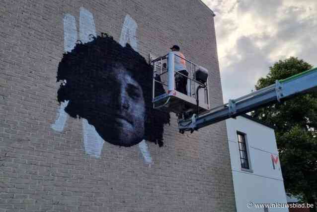 Muurschilderij Wout Faes pronkt op gevel ’t Getouw