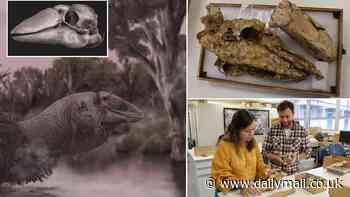 Stunned researchers discover rare skull of 230kg 'giant goose' that went extinct 50,000 years ago - allowing them to finally reveal what the animal looks like