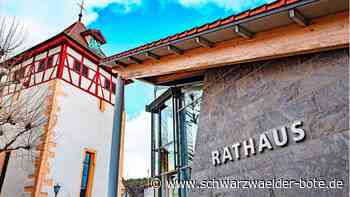 Strom aus Sonnenenergie: Kühle Köpfe im  Ostelsheimer Rathaus