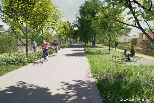 Steenbrugstraat wordt klimaatrobuust: “Infrastructuurwerken zullen minstens één jaar duren”