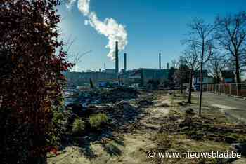 Loodwaarden in bloed bij kinderen rond Umicore weer gedaald