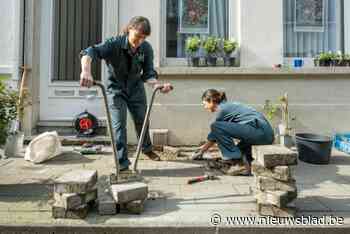Turnhout moedigt met premie het ontharden van privaat terrein aan