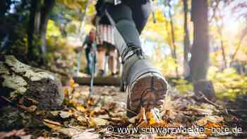 Zum 50. Mal in  Rotfelden: Jubiläumswandertag  bietet rundum schöne Ausblicke