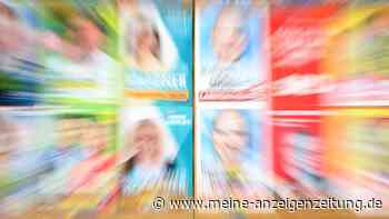 Letzte Umfragen vor der Europawahl: AfD kämpft um Platz zwei