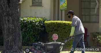 Gas-powered lawn equipment debate boils over at council in London, Ont.